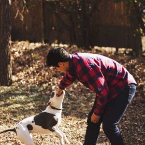 Man Taking Ball from Dog