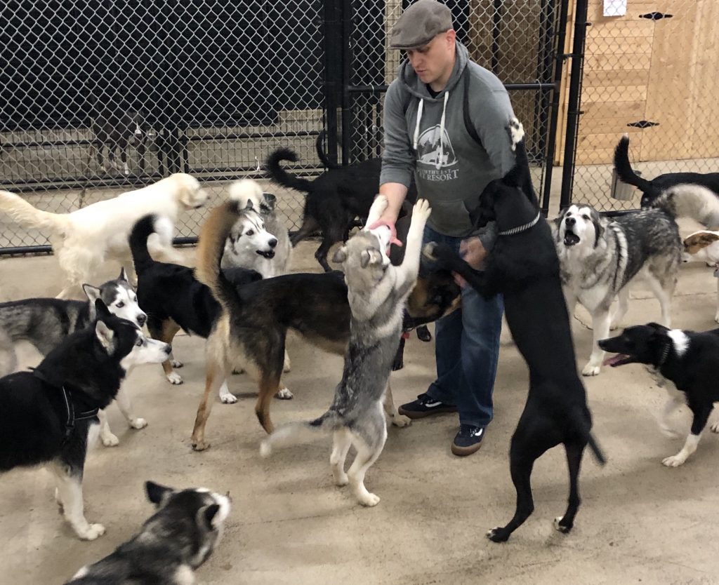 Careers at Northwest Pet Resort Northwest Pet Resort